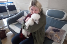 Scampy airport poodles for the win!